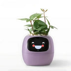 Ivy® - Jouw Smart Planter (AI+)