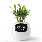 Ivy® - Jouw Smart Planter (AI+)